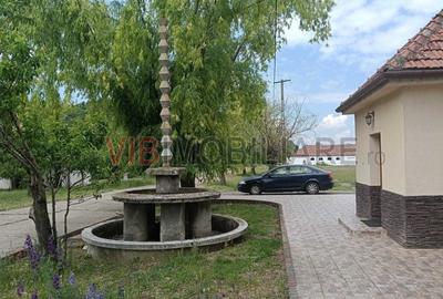 Teren de 301252 mp, în Biled - 1