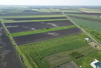 Livada de nuci ?i pruni 2.4ha in Varia?ul Mare - 7