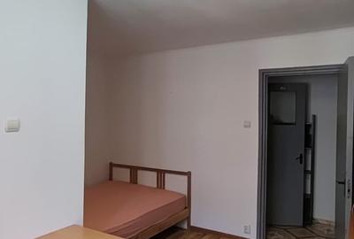 Garsonieră semidecomandată în Costin Georgian - 8