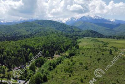 Teren intravilan 1000 mp de pe Valea Avriguluiu - 1