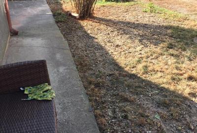 Casa la curte in Arad Centru-Intim - 7