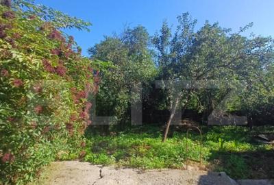 Casa renovabila, 2 camere, zona Cetate - 18