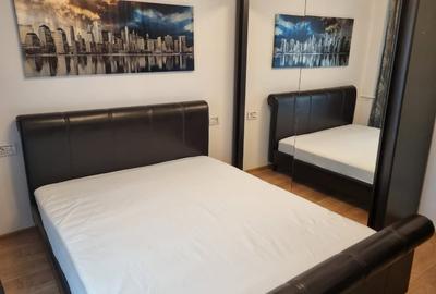 Apartament cu 2 camere decomandat, mobilat în Calea Călărașilor - 3
