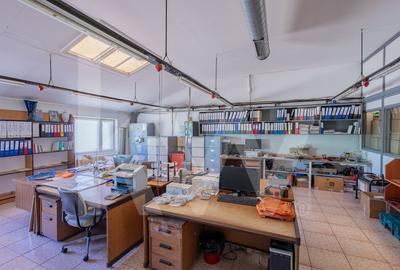 Proprietate industriala cu hale moderne, teren generos si acces Autostrada A1 Proprietate industriala cu hale moderne, teren generos si acces Autostrada A1 - 20