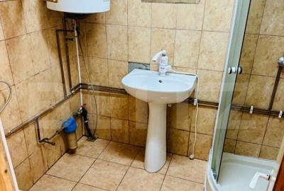 Cabana din lemn, 37 mp, Liubcova - 16