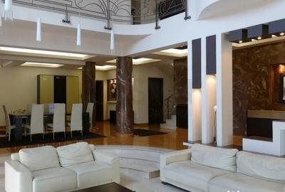 Casă cu 7 camere cu Teren 2000 Mp în Iancu Nicolae - 2