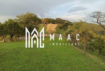 Casă cu 4 camere cu Teren 60000 Mp în Central - 14