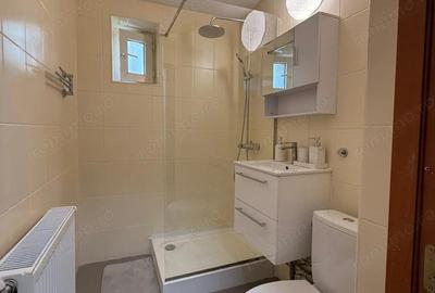 Apartament cu 3 camere semidecomandat în Brâncoveanu - 6