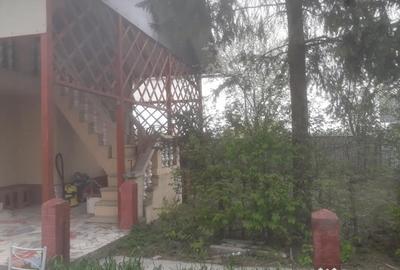 Casă cu 4 camere cu Teren 2000 Mp în Chilișeni - 5
