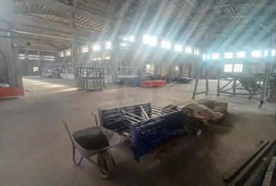 Spațiu comercial, de 3,500 mp, în Bereasca - 7