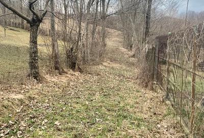 Teren Construcții intravilan de 3169 mp, în Talea - 2