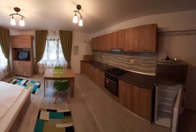 Apartament cu 1 camera tip studio in Nicolina-Lidl,bloc nou - 1