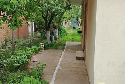 Casă cu 3 camere în Odaia Manolache - 3