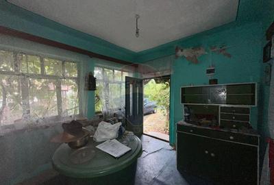 30 arii TEREN INTRAVILAN cu o GOSPODARIE veche - 16