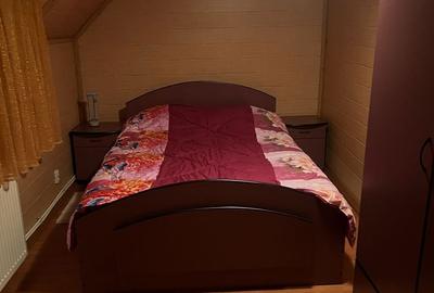 Casă cu 3 camere în Ocoliș - 5