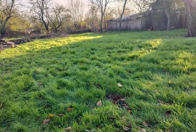 Casă cu 3 camere în Ciorani