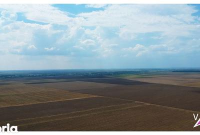 Teren de 9300 mp, în Frumușani