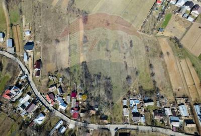 Teren Construcții intravilan de 3800 mp, în Burdujeni - 13