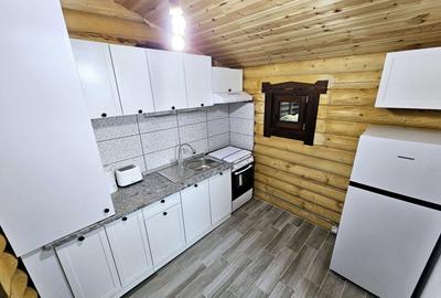1140mp si cabana Obarsia Lotrului Transalplina 3km partia ski, TOATE UTILITATILE - 14
