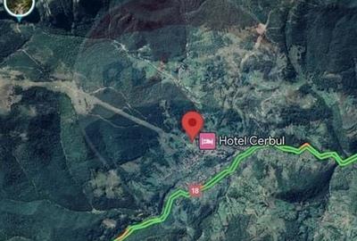 DE VANZARE TEREN INTRAVILN PENTRU CABANA BORSA - 4