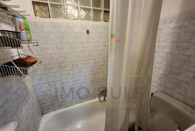 Garsonieră în Buziașului