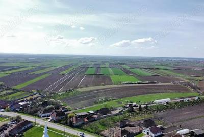 Teren în Amați - 9