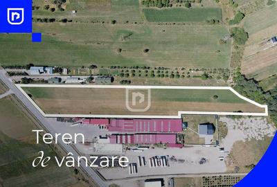 Teren generos cu deschidere la DN17/E58 situat in Gura Hu... - 7