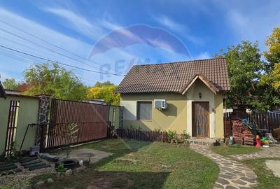 Casa la gri P+M cu anexa - oportunitate unica in Chisineu-Cris! - 33