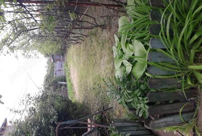 Casa de vanzare Negoiesti - Prahova - 8