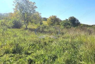 Teren pentru casa sau duplex in cartierul Gruia - 2