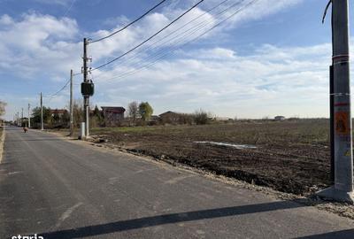Teren de 10000 mp, în Ciorogârla - 1