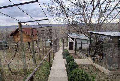 Casă cu 6 camere cu Teren 7200 Mp în Mihai Eminescu - 10