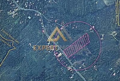 Teren de 11700 mp, în Est - 7