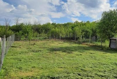 Vanzare Casa Noua Prahova Iordacheanu Varbila + Teren - 10