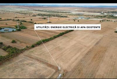 Teren intravilan 30.110 mp – Filipeștii de Târg, Prahova - 3