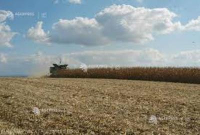3,5 ha teren agricol la Vulpeni judetul Olt