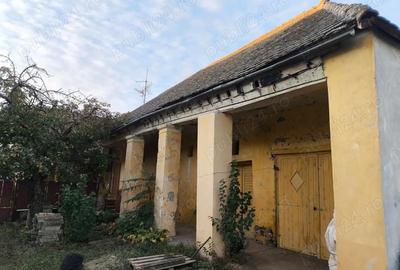 Casă cu 4 camere cu Teren 2518 Mp în Tomnatic - 3