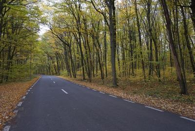 Teren în Izvorani - 5