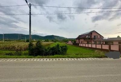 Teren intravilan de vanzare 2237 mp Chistag, com. A?tileu - 3