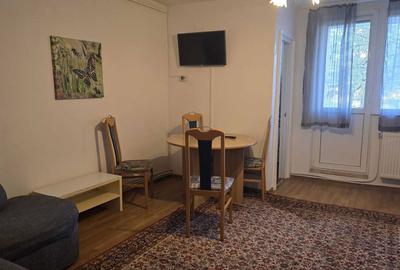 Garsonieră decomandată în Burdea - 4