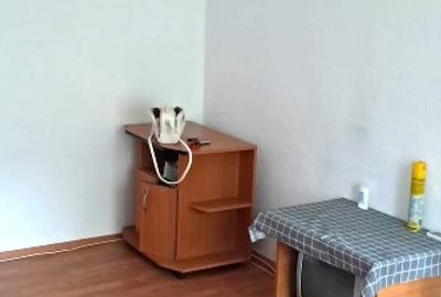 Zodiac-apartament 2 camere - 7