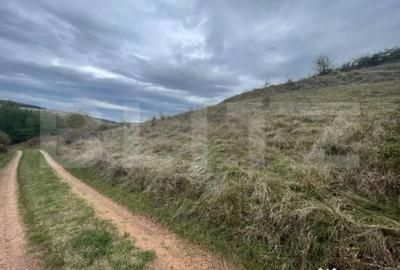 Teren de 2800 mp, în Drâmbar - 4