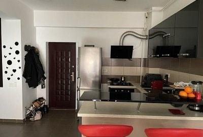 Apartament cu 2 camere decomandat, mobilat în Roșu - 3