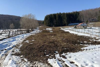 Spațiu comercial, în Secăria - 9