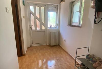 Apartament 2 camere, mobilat si utilat, Lunca Cetatuii - 4