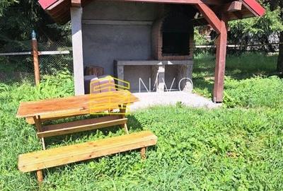 Casă de vacanță - Mureș - Sălard - 3