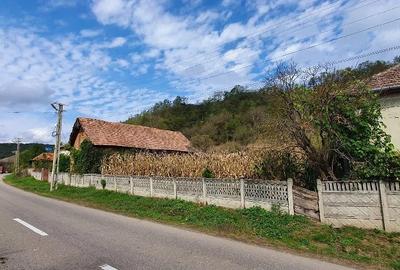 Casă cu Teren 5000 Mp în Dragu - 2