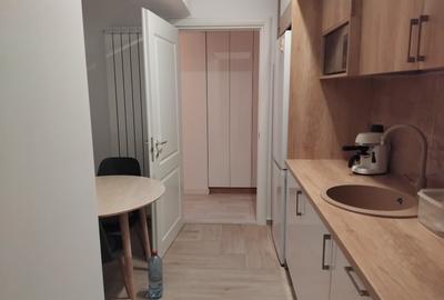 Apartament cu 3 camere decomandat în Tătărași - 10