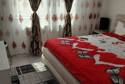 Apartament cu 2 camere semidecomandat în Valea Lupului - 6