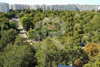 Apartament 3 camere Dristor - 11